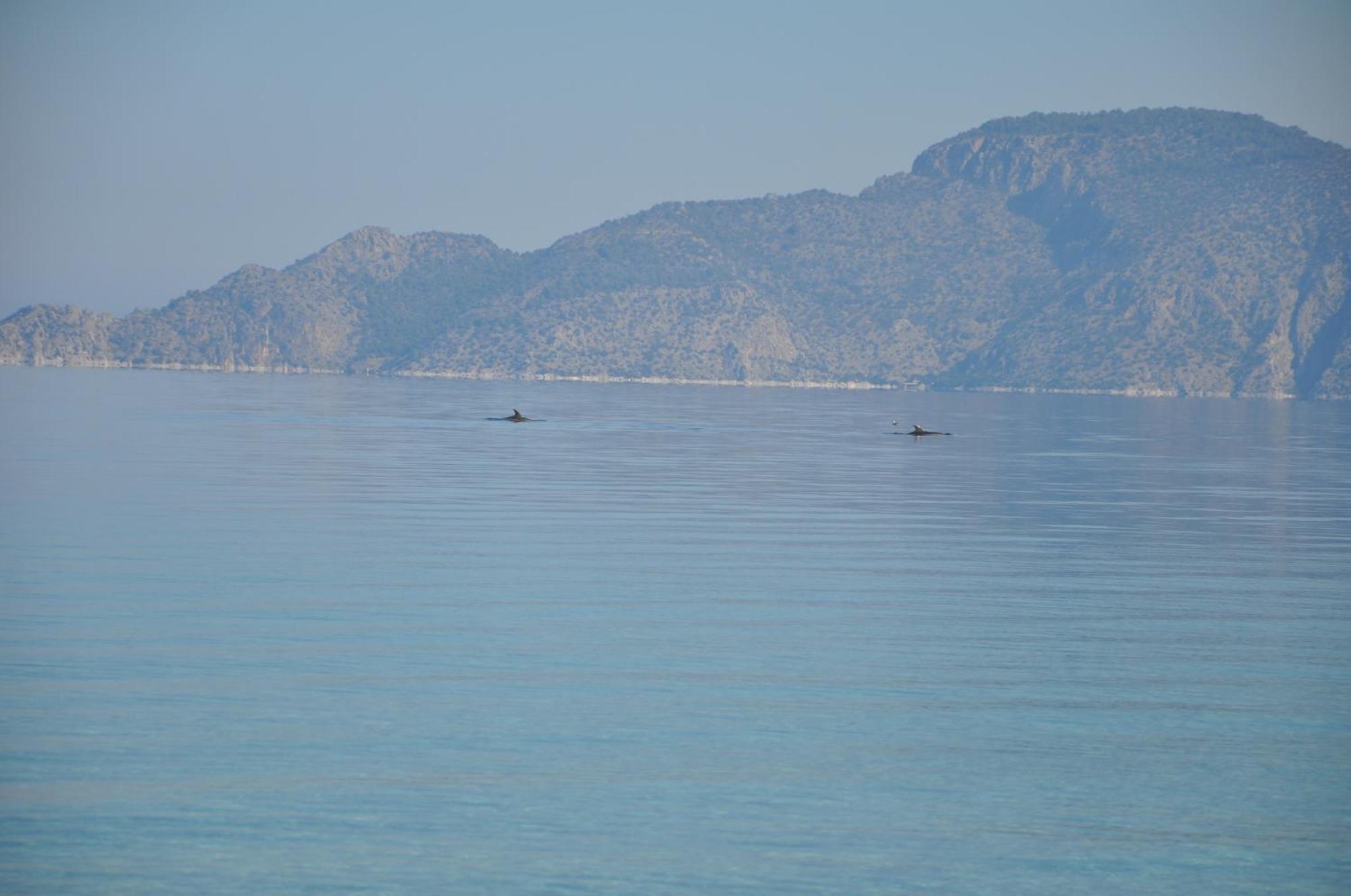 Villa In Kalloni Direkt Am Meer, Tolle Aussicht Extérieur photo